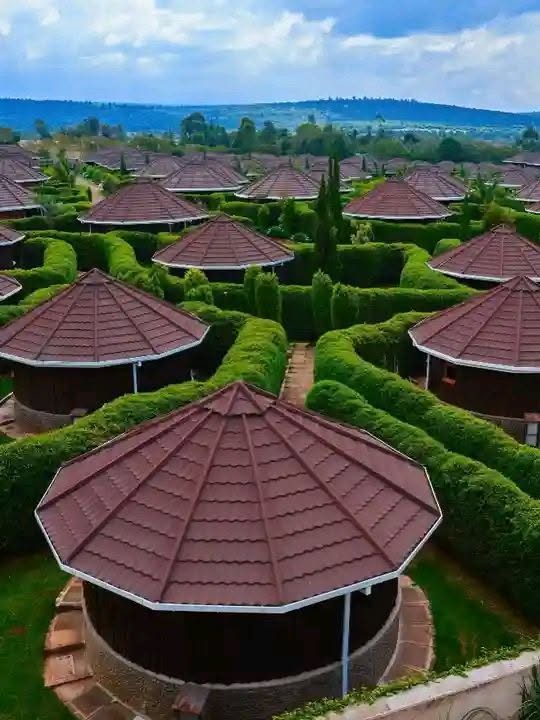 Aerial view of homes with stone-coated tile roofing